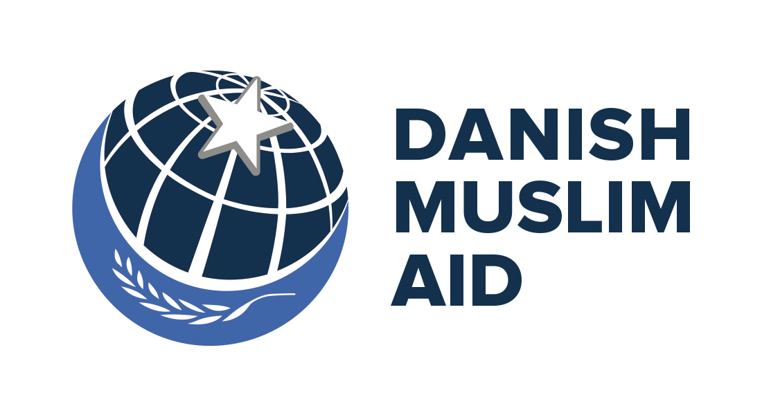 DM Aid Logo Horizontal Compact Blue